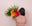 The Flower Boutique logo