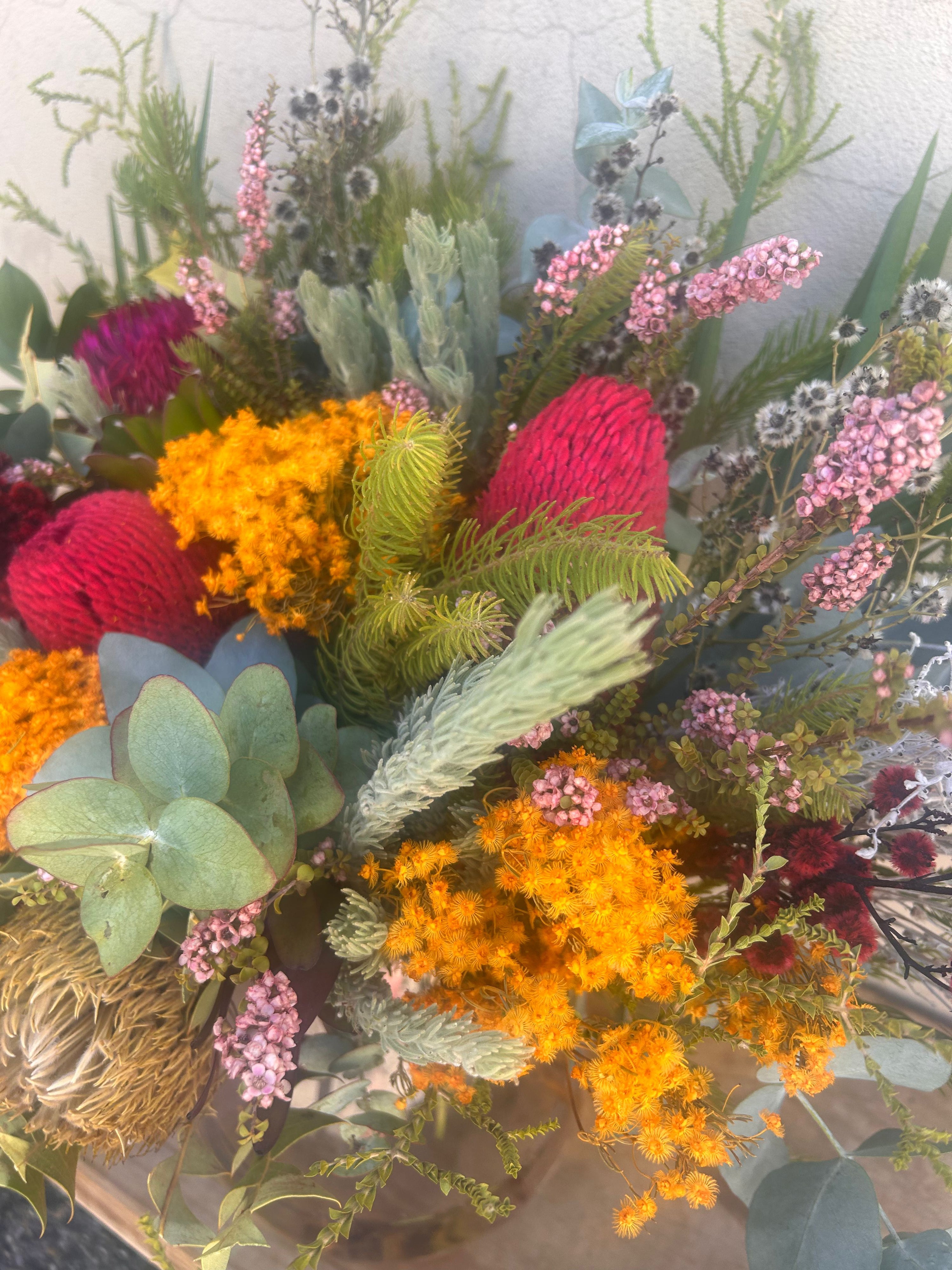 Close up of australian native flowers