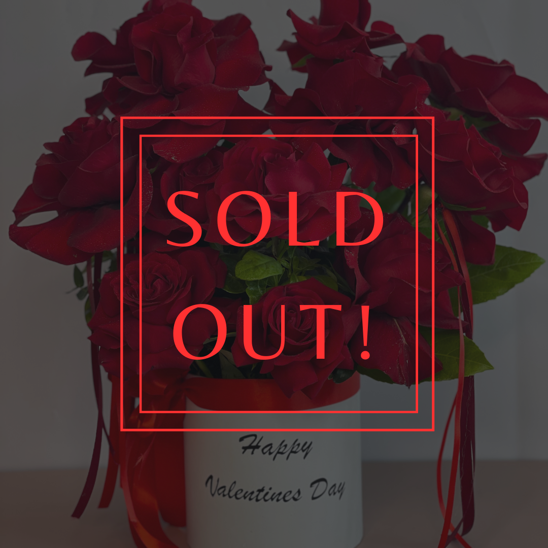 Valentina_white_sold_out.png