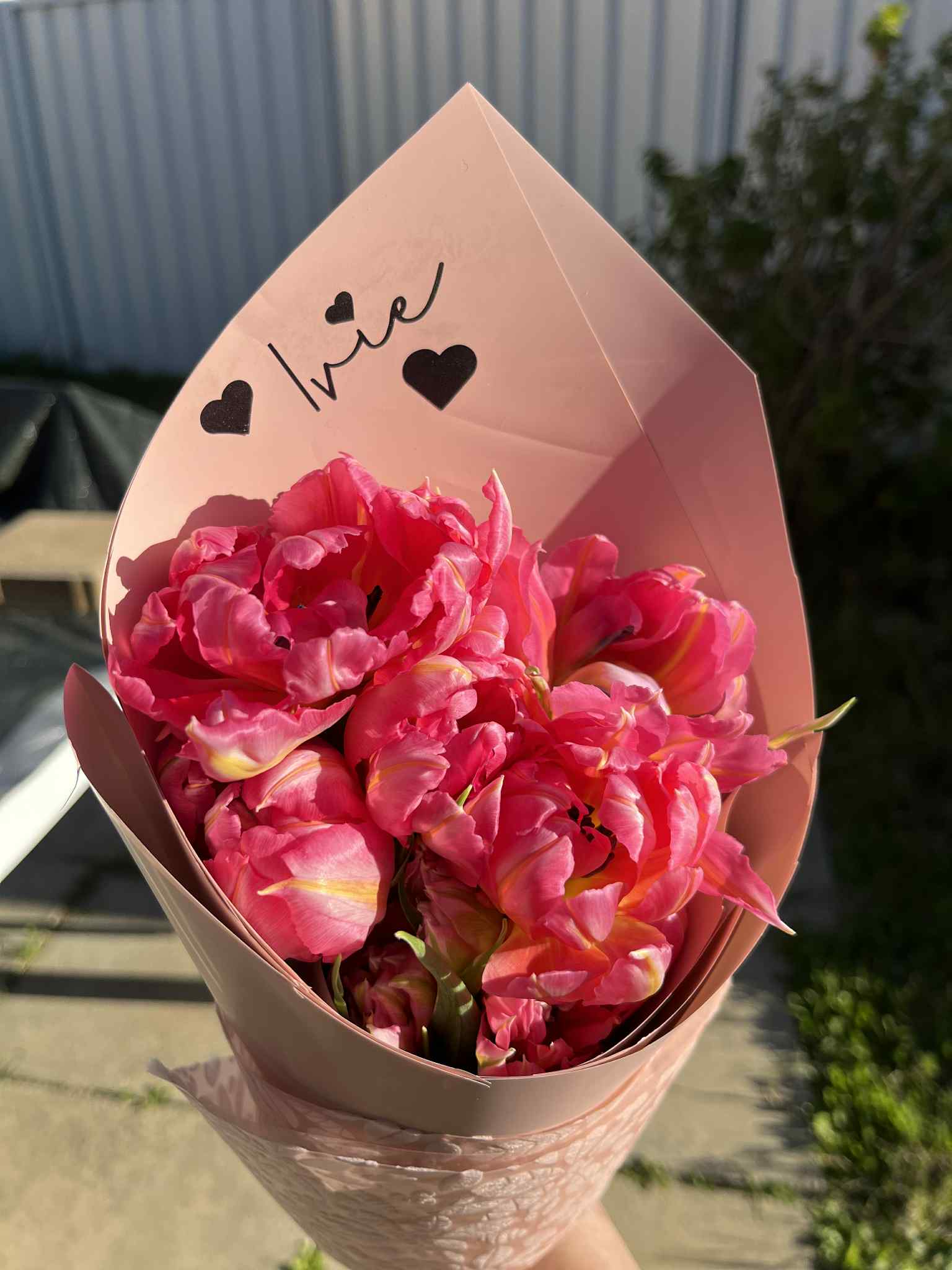 No.39 tulip bouquet in standard wrap – August exclusive from The Flower Boutique Perth available for same day flower delivery or pick up from our ashby store