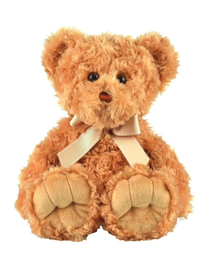 Teddy Bear – The Flower Boutique Perth